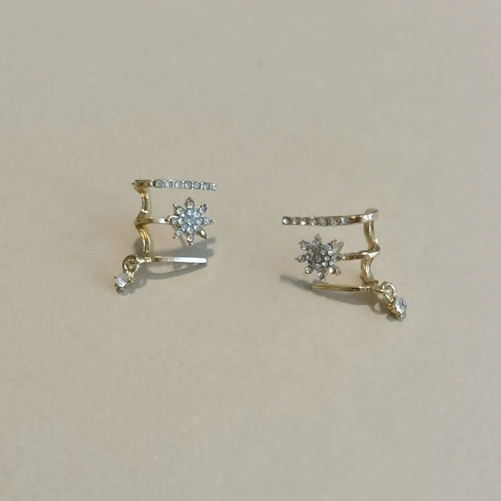 Diamond decor earrings M1073